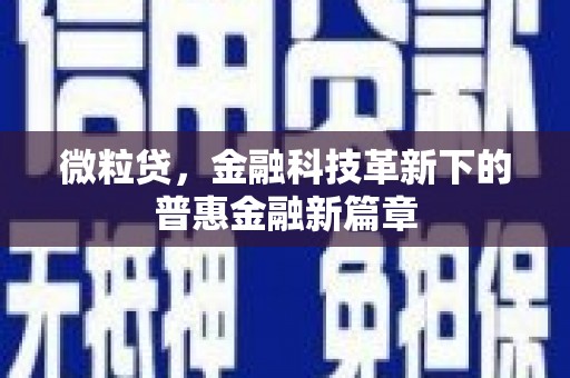 黔东南微粒贷，金融科技革新下的普惠金融新篇章