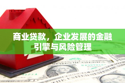 黔东南商业贷款，企业发展的金融引擎与风险管理