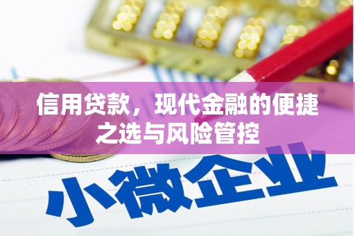 黔东南信用贷款，现代金融的便捷之选与风险管控