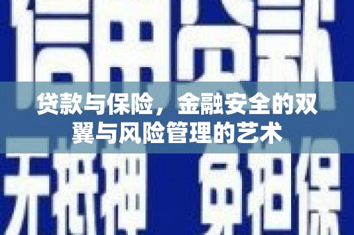 黔东南贷款与保险，金融安全的双翼与风险管理的艺术