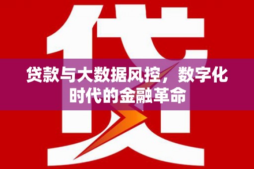 黔东南贷款与大数据风控，数字化时代的金融革命