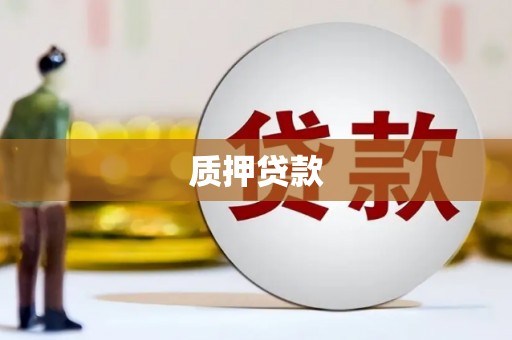 黔东南质押贷款