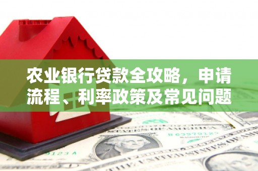 黔东南农业银行贷款全攻略，申请流程、利率政策及常见问题解析