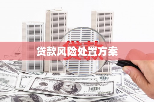黔东南贷款风险处置方案