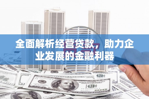 黔东南全面解析经营贷款，助力企业发展的金融利器