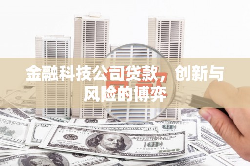 黔东南金融科技公司贷款，创新与风险的博弈