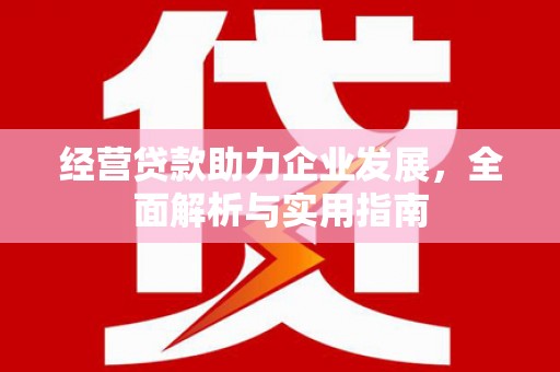 黔东南经营贷款助力企业发展，全面解析与实用指南