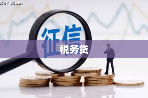 黔东南税务贷