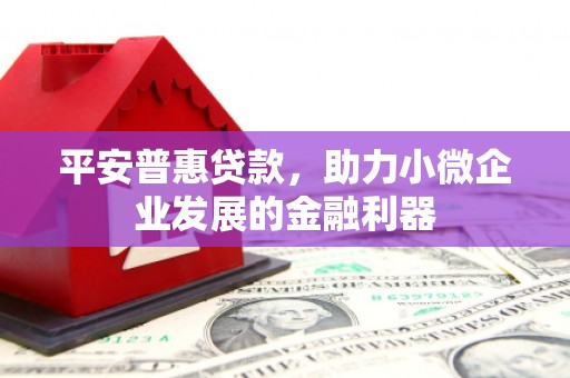 黔东南平安普惠贷款，助力小微企业发展的金融利器