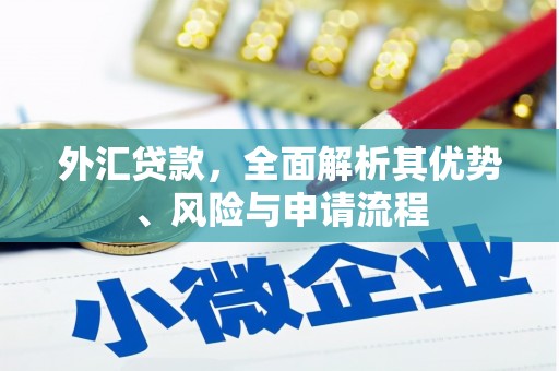 黔东南外汇贷款，全面解析其优势、风险与申请流程