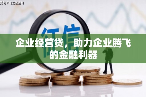 黔东南企业经营贷，助力企业腾飞的金融利器