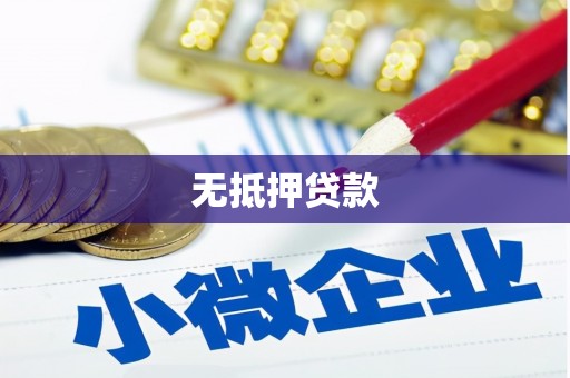 黔东南无抵押贷款