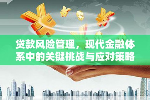 黔东南贷款风险管理，现代金融体系中的关键挑战与应对策略