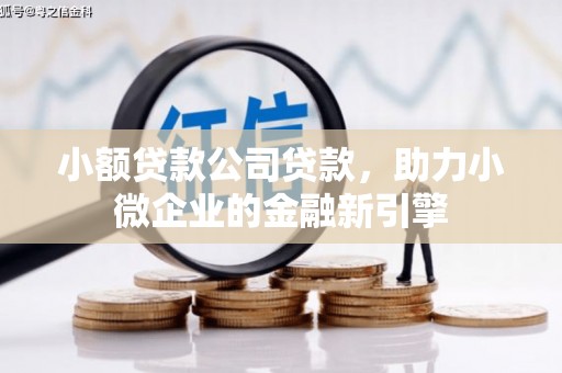 黔东南小额贷款公司贷款，助力小微企业的金融新引擎