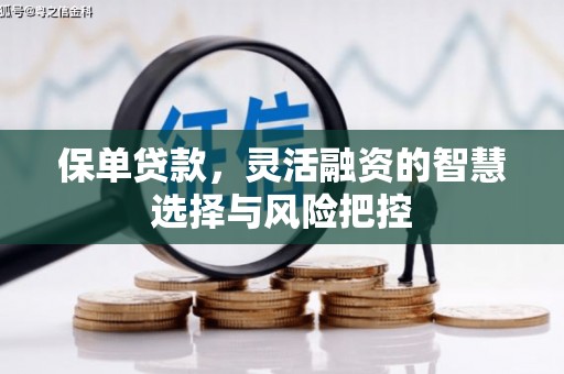 黔东南保单贷款，灵活融资的智慧选择与风险把控