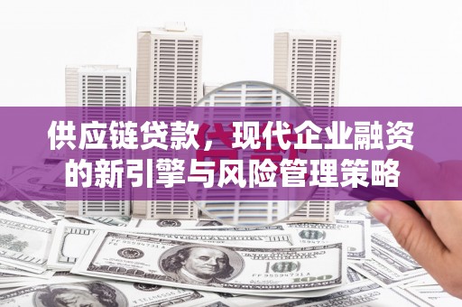 黔东南供应链贷款，现代企业融资的新引擎与风险管理策略