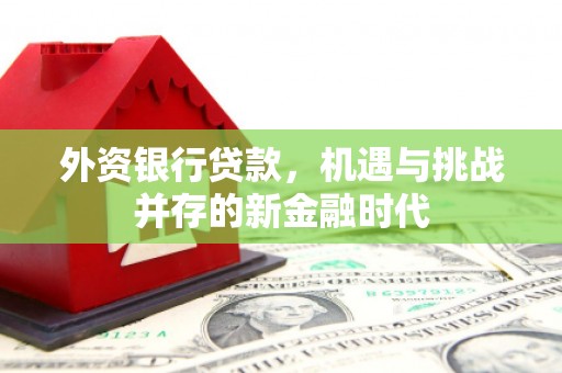 黔东南外资银行贷款，机遇与挑战并存的新金融时代