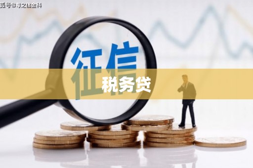 黔东南税务贷