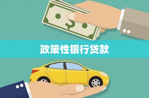 黔东南政策性银行贷款