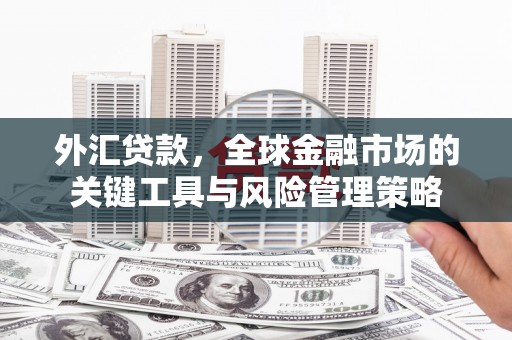黔东南外汇贷款，全球金融市场的关键工具与风险管理策略