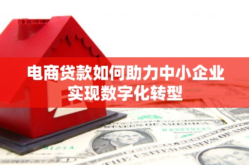 黔东南电商贷款如何助力中小企业实现数字化转型