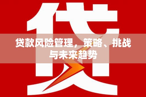 黔东南贷款风险管理，策略、挑战与未来趋势