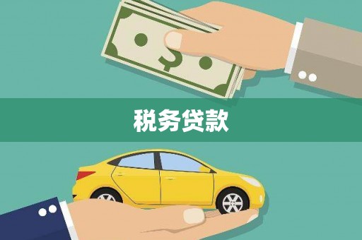 黔东南税务贷款