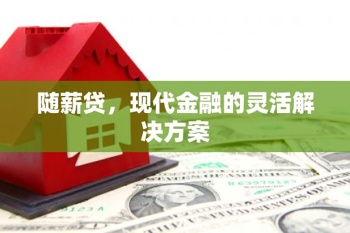 黔东南随薪贷，现代金融的灵活解决方案