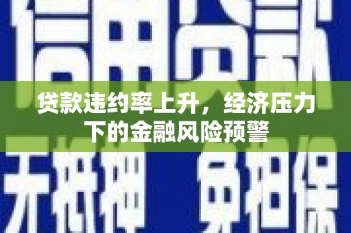 黔东南贷款违约率上升，经济压力下的金融风险预警