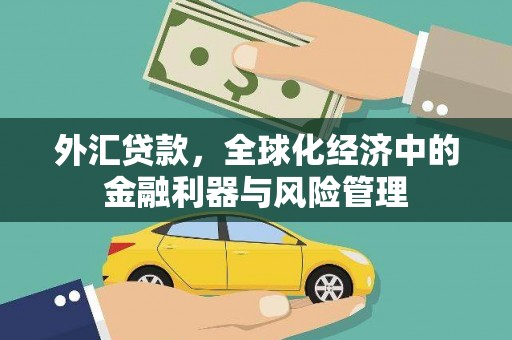 黔东南外汇贷款，全球化经济中的金融利器与风险管理