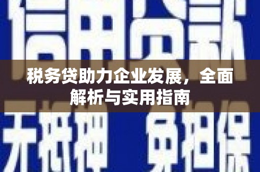 黔东南税务贷助力企业发展，全面解析与实用指南