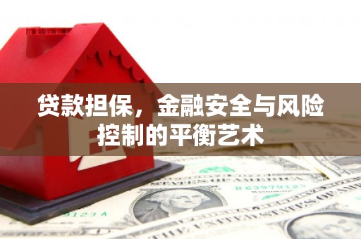 黔东南贷款担保，金融安全与风险控制的平衡艺术