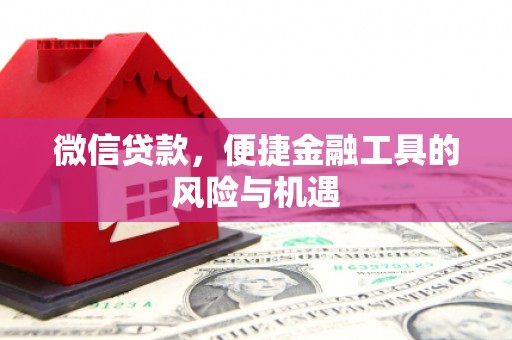 黔东南微信贷款，便捷金融工具的风险与机遇
