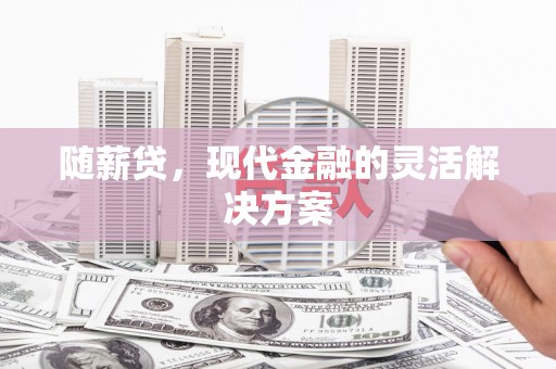 黔东南随薪贷，现代金融的灵活解决方案