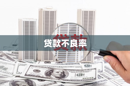 黔东南贷款不良率