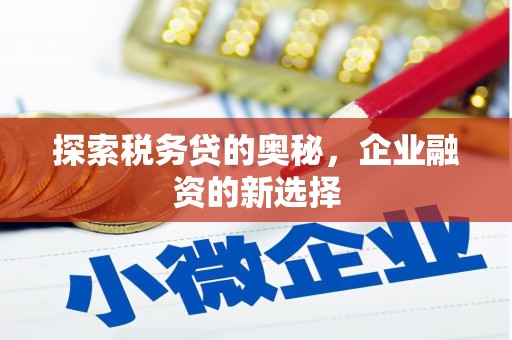 黔东南探索税务贷的奥秘，企业融资的新选择