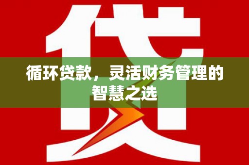 黔东南循环贷款，灵活财务管理的智慧之选