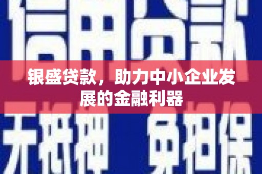 黔东南银盛贷款，助力中小企业发展的金融利器