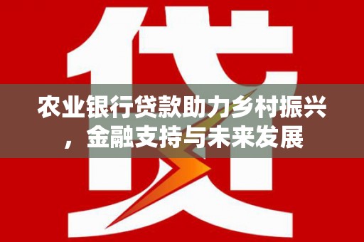 黔东南农业银行贷款助力乡村振兴，金融支持与未来发展
