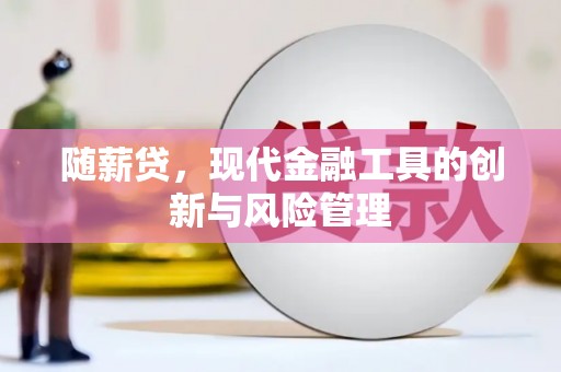 黔东南随薪贷，现代金融工具的创新与风险管理