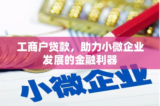 黔东南工商户贷款，助力小微企业发展的金融利器