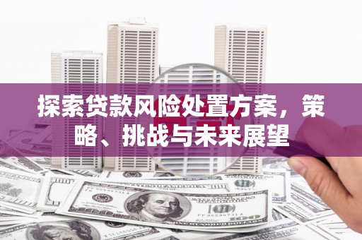 黔东南探索贷款风险处置方案，策略、挑战与未来展望