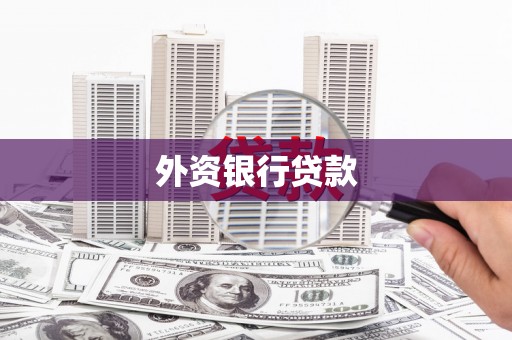 黔东南外资银行贷款