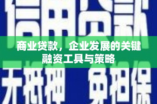 黔东南商业贷款，企业发展的关键融资工具与策略