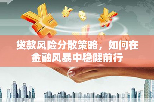 黔东南贷款风险分散策略，如何在金融风暴中稳健前行