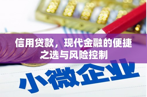 黔东南信用贷款，现代金融的便捷之选与风险控制