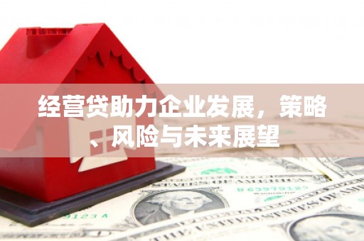 黔东南经营贷助力企业发展，策略、风险与未来展望