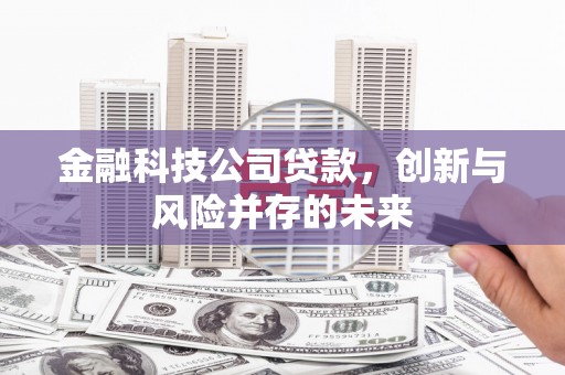 黔东南金融科技公司贷款，创新与风险并存的未来