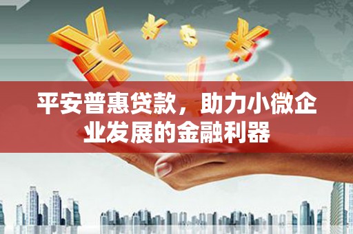 黔东南平安普惠贷款，助力小微企业发展的金融利器