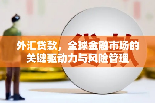 黔东南外汇贷款，全球金融市场的关键驱动力与风险管理